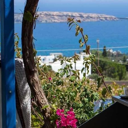 Aloe Paros Suites And Studios Drios Ngoại thất bức ảnh