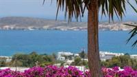 Aloe Paros Suites And Studios Drios Ngoại thất bức ảnh