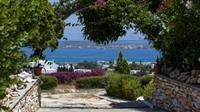 Aloe Paros Suites And Studios Drios Ngoại thất bức ảnh